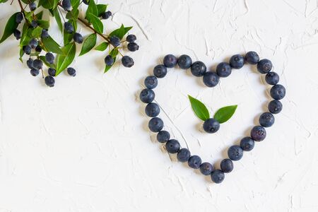 Tasty blueberries isolated on white background. Blueberries are antioxidant organic superfood.の写真素材