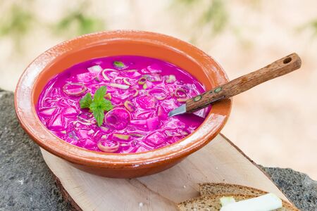 Cold fresh traditional vegetable summer soup made of beetroot beet, cucumber, dill, green onion and...
