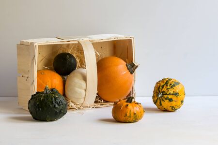 small pumpkins spill out of the basket, the concept of autumn and Halloween, as well as the harvestの写真素材