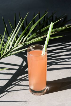 Summer cocktail concept with palm leaf and palm leaf's shade. A glass of fresh grapefruit tonic drink is on a grey marble background with shadow, vertical imageの写真素材