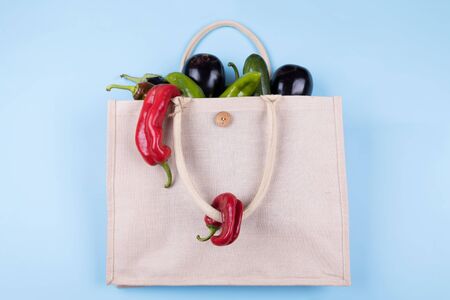 Eco friendly cotton bag with vegetables: eggplant, ugly peppers, tomatoes, zucchini on a pastel blue background, minimal nature style. Environmental Conservation, zero waste and plastic freeの写真素材