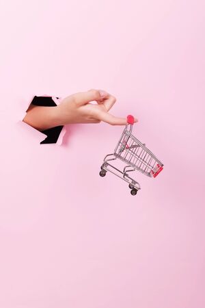 Female hand holds through a hole a empty mini grocery shopping trolley on a pink background, sales concept with copy space, minimalism. Concept shopping in supermarketの写真素材