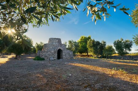 Beautiful trullo with olive grove, Manduria, Southen Italy. View of conical roof of traditional dry stone trullo house, Puglia. Trullis are unique to this part of southern Italy.の写真素材