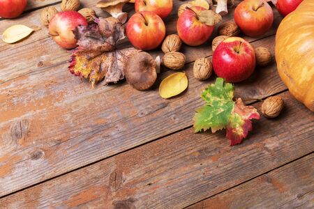 Orange pumpkin with cardoncelli mashrooms, apples, walnuts and colorful leaves on old rustic wooden boards. Autumn Thanksgiving day background. Beauty harvest autumn concept. Fall compositionの写真素材