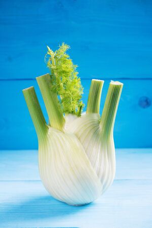 Food minimal concept, natural organic fennel bulb on a blue wooden background with space for textの写真素材