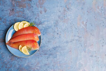 Beautiful tropical red sea fish Pearly razorfish on a blue background. Galan fish Xyrichtys...