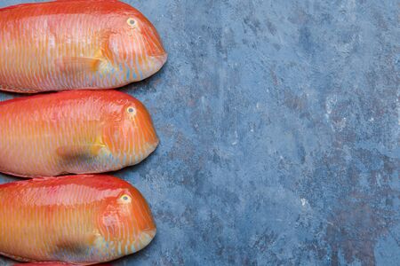 Beautiful tropical red sea fish Pearly razorfish on a blue background. Galan fish Xyrichtys...