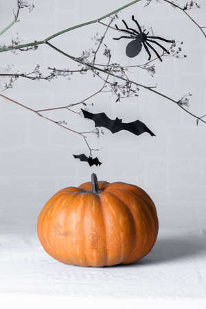 Halloween Pumpkin with a scary brunch with bats and spriders of paper silhouettes on the background, DIYの写真素材