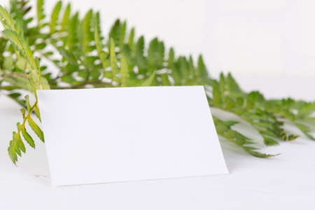 Greenery empty card mock up for wedding invitation, greeting card, place cardの写真素材