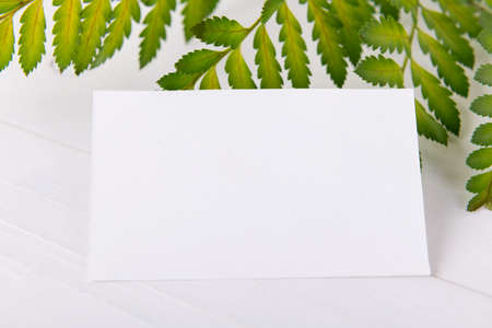 Greenery empty card mock up for wedding invitation, greeting card, place cardの写真素材