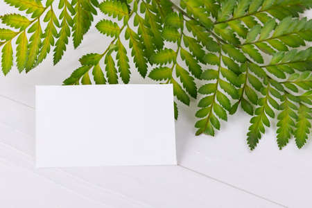 Greenery empty card mock up for wedding invitation, greeting card, place cardの写真素材