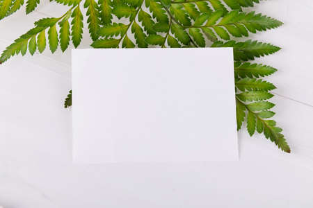 Greenery empty card mock up for wedding invitation, greeting card, place cardの写真素材