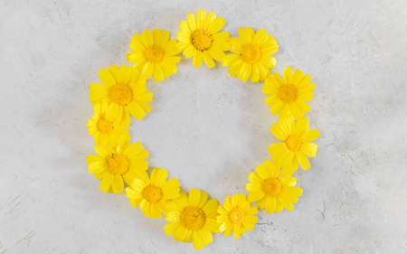 Flowers composition. Frame made of yellow chamomiles or daisies on gray background. Flat lay, top view and copy spaceの写真素材