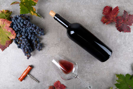 Red wine bottle with bunch of grape, fall grapes leaves on gray background, top viewの写真素材