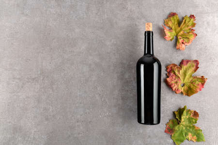 Red wine bottle fall grape's leaves on gray stone table, concept wine flat lay backgroud, copy spaceの写真素材