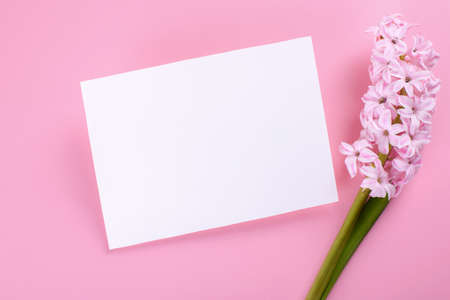 Blank wedding invitation stationery card mockup on pink background with hyacinth flowers, feminine blog flat lay, top view. Minimalist mockup 5x7 ratio, similar to A6, A5の写真素材