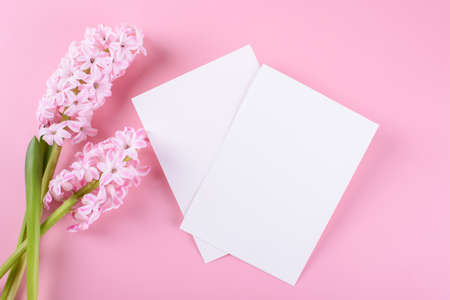 Two blank wedding invitation stationery card mockup on pink background with hyacinth flowers,...