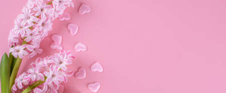 Beautiful pink hyacinth flower on soft pink background. Valentines card or Mothers Day card,...