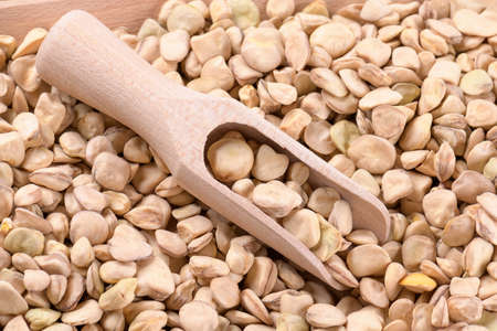 Dry Cicerchia or Indian pea on a wooden scoop, close up, food gluten free. Legumes known as Lathyrus Sativus, Chickling Vetch, Blue Sweet Pea made in Puglia, top viewの写真素材