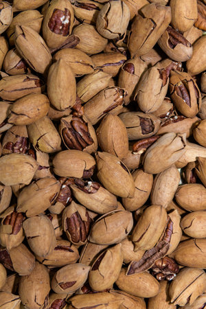 Pecan Nuts in Shells Ready for Cracking, Pecan Backgroundの写真素材