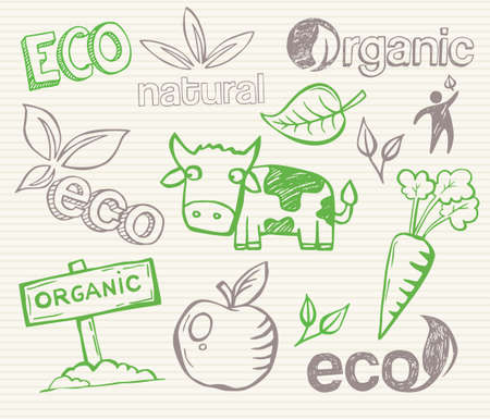 Eco and organic doodlesのイラスト素材