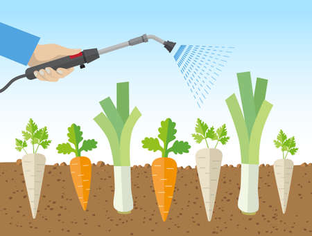 Corporations spraying vegetables with chemical substances - controversial topic, health risk, insect extinctionのイラスト素材