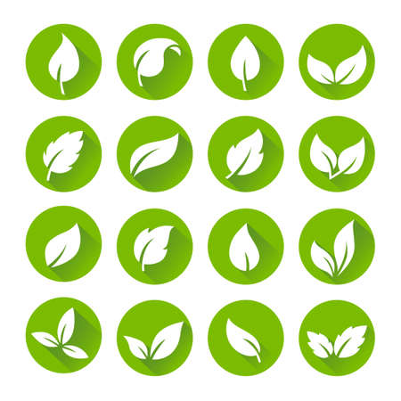 Green Leaves Icon Set - Flat Design Style, can illustrate nature or ecology topicsのイラスト素材