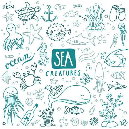 Collection of sea doodles - sea creatures, fish, octopuses, starfish etc. Can illustrate any topic about underwater, marine life etc...のイラスト素材