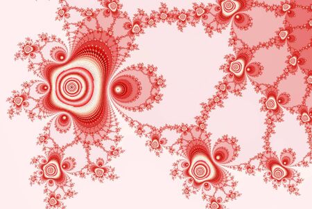 fractal roses, ornament red whiteの写真素材