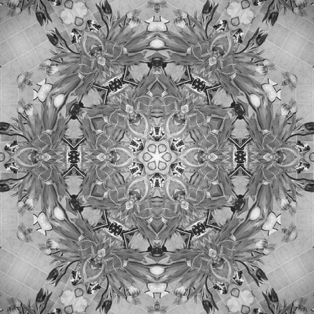 Mandala pattern black and whiteの写真素材