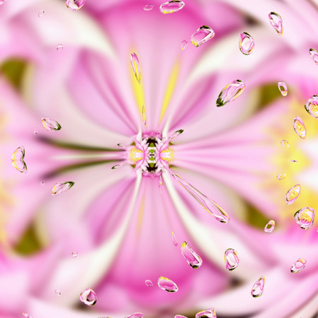 rose pink abstract card fresh kaleidoscope with drops