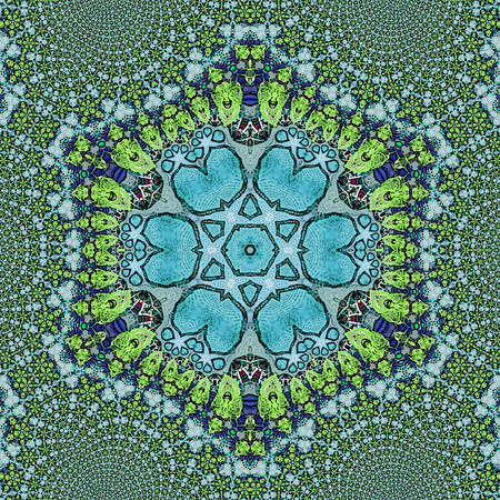 Psychedelic Henna Mandala Doodle Flower hexagonal