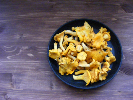 Chanterelle mushroom on black cast iron plate and brown wooden tableの写真素材