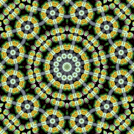 orchid kaleidoscope of circle mandala