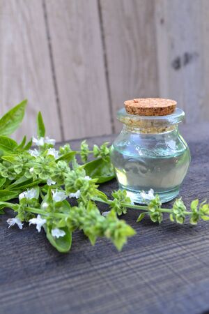 A bottle of tulsi essential oil with fresh tulsi, or holy basil. Vertical photoの写真素材