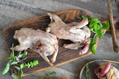 Hunting of woodcock birds. Russian authenty, organic cuisine.の写真素材