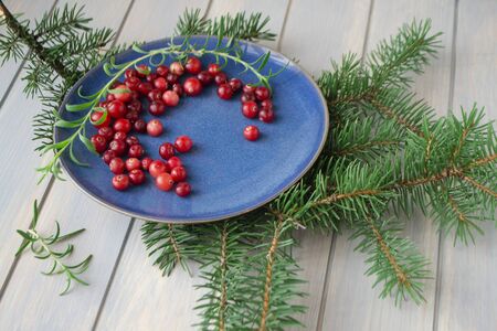 Rustic breakfast, tasty beautiful red cranberry in ceramic blue plate standing at wooden plank table with fir tree branch, authentic russian lifestyleの写真素材