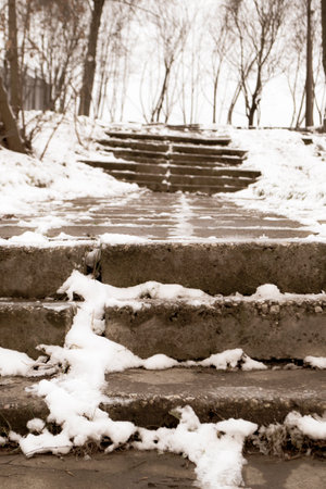 Yuletide, barren tree on top of a stairway, climbs the stairs. Vertical imageの写真素材