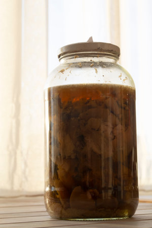 Tincture of amanita or fly agaric with alcohol is used in folk medicine. Glassの写真素材