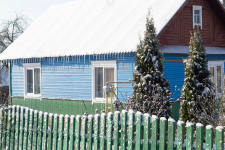 wooden house in the belarussian village. Wooden house with a fence made of planks with green spruce in winter.の写真素材