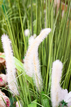 branches of artificial grass made of polystyrene foam on the green grass. Vertical imageの写真素材