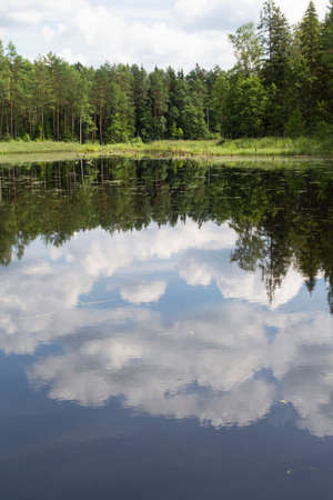 Mirror surface of the river water surface in the middle of the forest. Vacation on the forest river. Vertical imageの写真素材