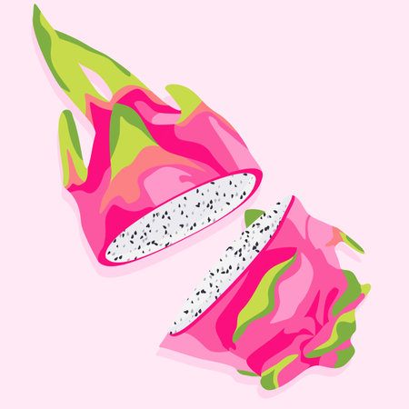 Pitaya cut into two parts. Dragon fruit Realistic vector image of tropical fruits.のイラスト素材