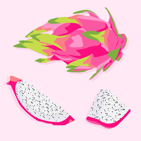 Pitaya whole with peel and its slices with pulp and seeds. Dragon fruit Realistic vector image of tropical fruits.のイラスト素材