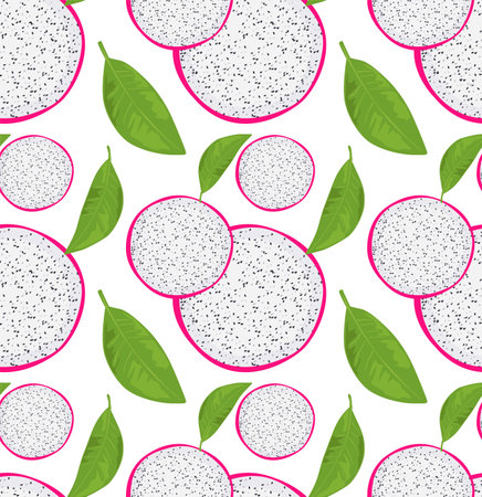 Round slices of dragon fruit with pulp and seedsのイラスト素材