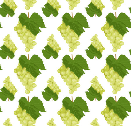 Bunches of green grapes with leaves. Seamless pattern in vector. Suitable for backgrounds and prints.のイラスト素材