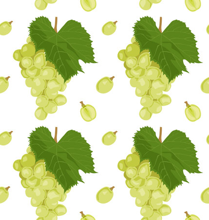 Branches of green grapes with individual berries. Seamless pattern in vector. Suitable for backgrounds and prints.のイラスト素材