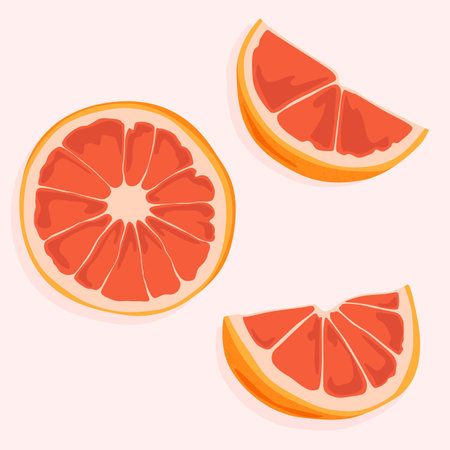 Round cut of a grapefruit and its segments. Healthy fruits and natural products. Food icons.のイラスト素材