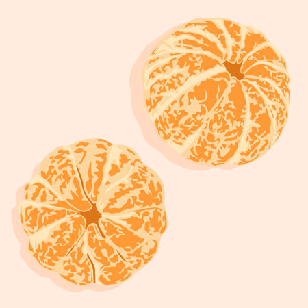Two peeled tangerines at different angles. Realistic vector image. Vector food icons. Healthy food.のイラスト素材