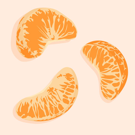 Three peeled tangerine slices. Realistic vector image. Vector food icons.のイラスト素材